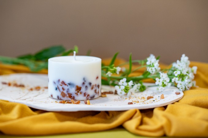 TL Candles Natural soy wax candles soy wax pillar candles botanical candles handmade candles scented candles pine candle