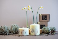 TL Candles Natural soy wax candles soy wax pillar candles botanical candles handmade candles scented candles vanilla candle