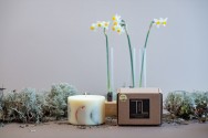 TL Candles Natural soy wax candles soy wax pillar candles botanical candles handmade candles scented candles vanilla candle