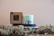 TL Candles soy wax candle soy wax candles aroma candles pine forest candle natural candle scented candle