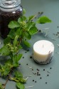 TL Candles Natural soy wax candles soy wax pillar candles botanical candles handmade candles scented candles juniper candle